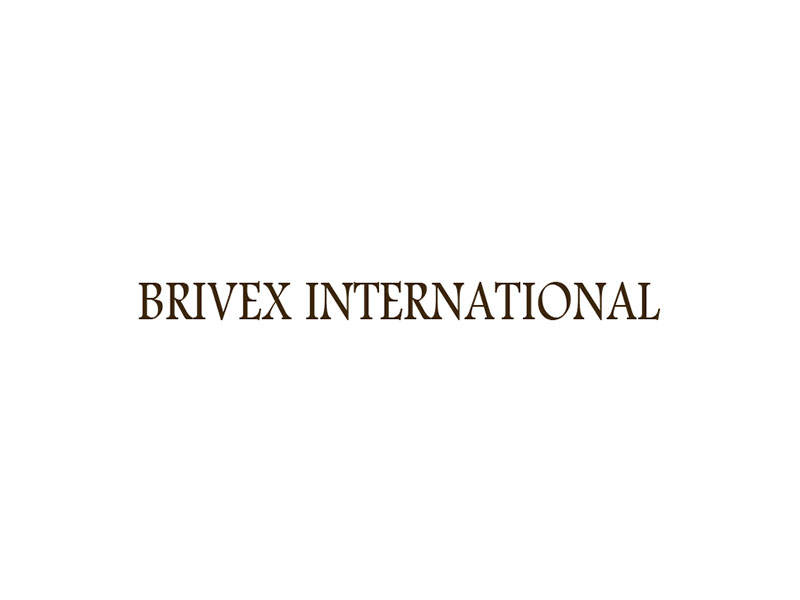 Briveks International